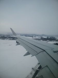 雪国の飛行機からの景色